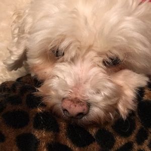 Meet your Posher, Mikki